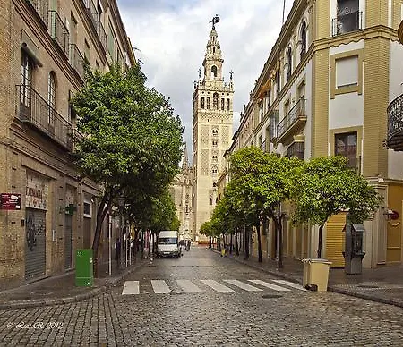 Backpackers Utopia * Seville